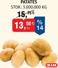PATATES KG fiyat ve kampanya bilgisi
